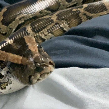 รูปโปรไฟล์ของ ยูปวย